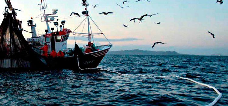 Sector pesquero y petrolero deben denunciar robos en altamar