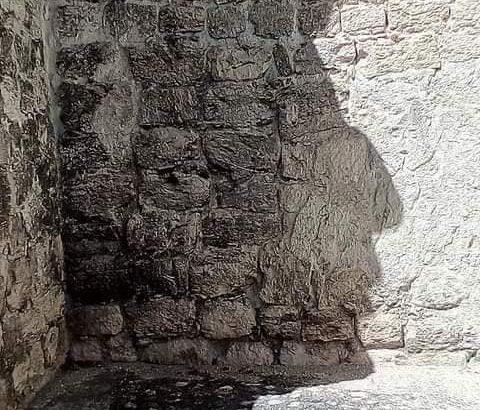 Captan rostro maya reflejado en Chicanná