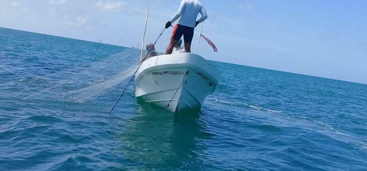 Pescadores de Campeche piden no ser sancionados