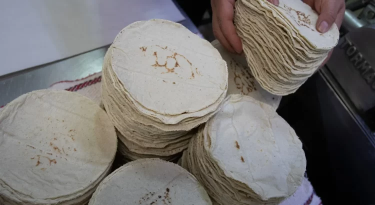 Llegó a 30 pesos el kilo de tortilla en Campeche