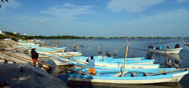 Pescadores de Campeche se manifestarán ante falta de seguridad