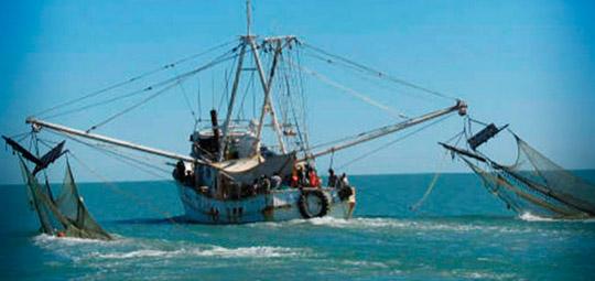 Frente Frio 31 afecta pesca en Campeche