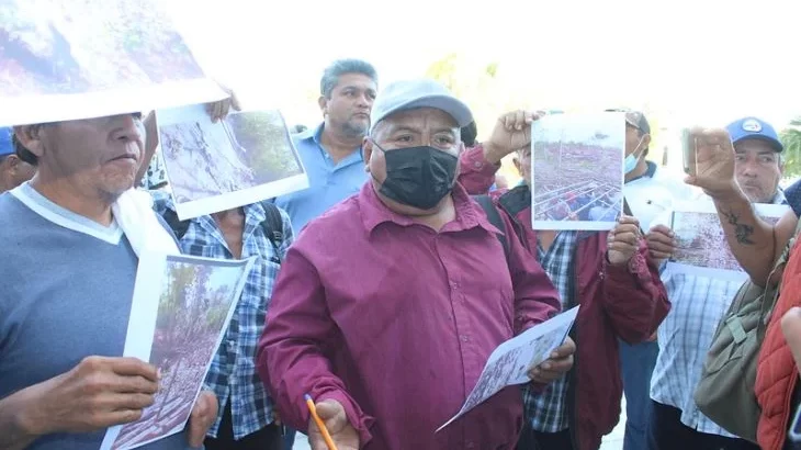 Ejidatarios de Campeche piden solución a la tala ilegal de madera