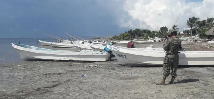 Propone diputado de Campeche hasta 12 años de cárcel por la pesca ilegal