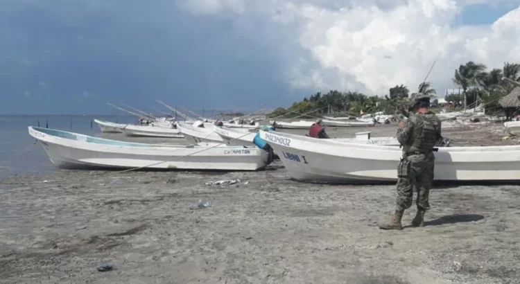 Propone diputado de Campeche hasta 12 años de cárcel por la pesca ilegal