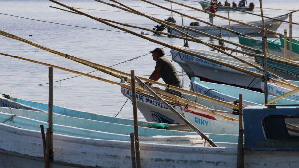 Campeche reforzará vigilancia para aminorar la tala y pesca ilegal