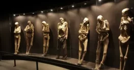 Prohíben museos usar la palabra “momia”