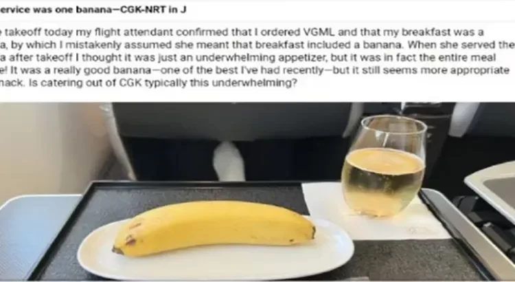 Pidió comida vegana en el avión