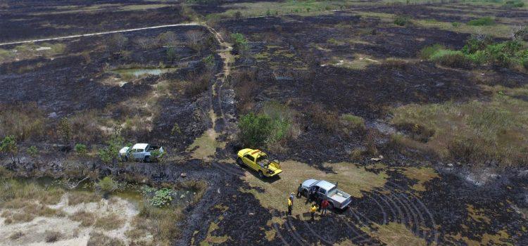 Sofocan incendio en reserva Los Petenes, de Campeche