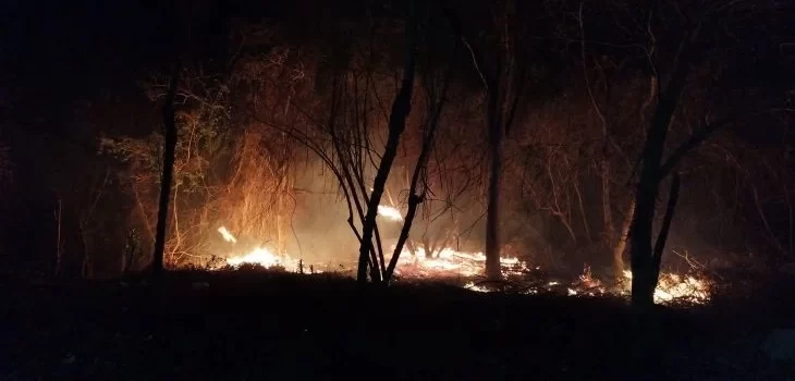 Actualiza Semabicce daños de incendios, cerca de 3 mil hectáreas siniestradas en Campeche