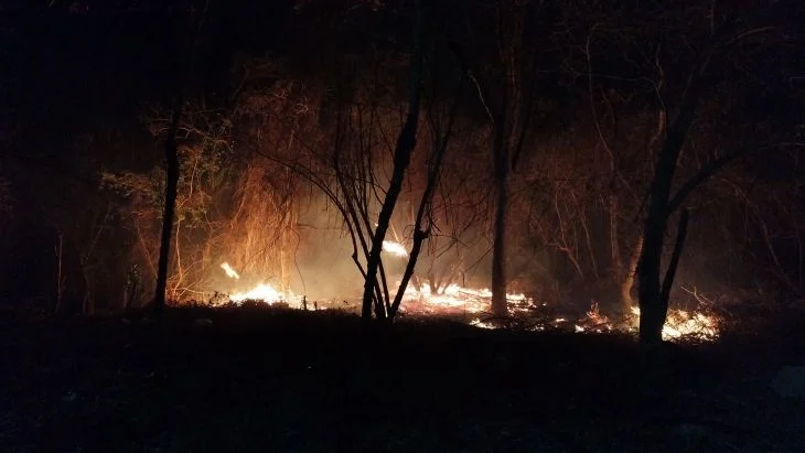 Actualiza Semabicce daños de incendios, cerca de 3 mil hectáreas siniestradas en Campeche