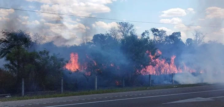 Van seis incendios y más de 3 mil hectáreas consumidas en Campeche