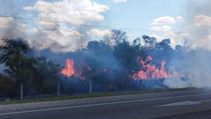 Van seis incendios y más de 3 mil hectáreas consumidas en Campeche