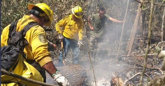 Controlan incendio en 5 de Febrero, Campeche; fue el más grave en México en lo que va de 2023