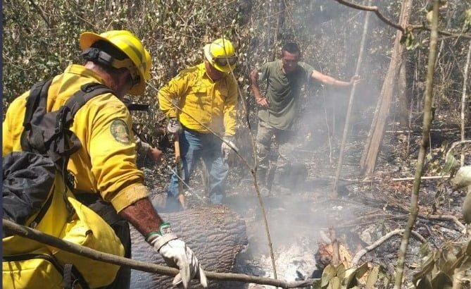 Controlan incendio en 5 de Febrero, Campeche; fue el más grave en México en lo que va de 2023