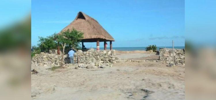 Anidación de tortugas es afectada por predios en la franja costera de Campeche