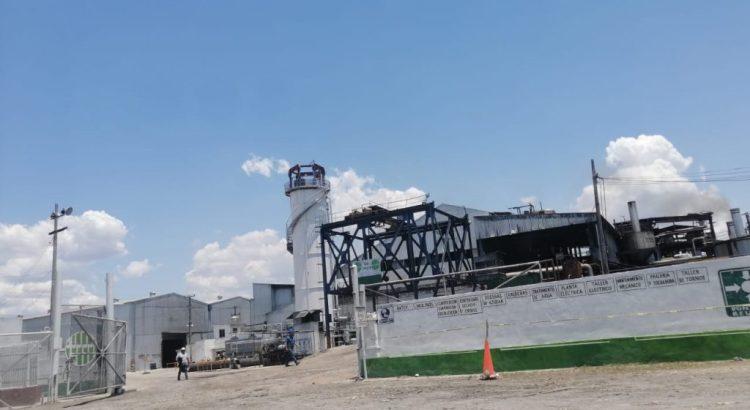 Cayó 10% producción de azúcar en Campeche
