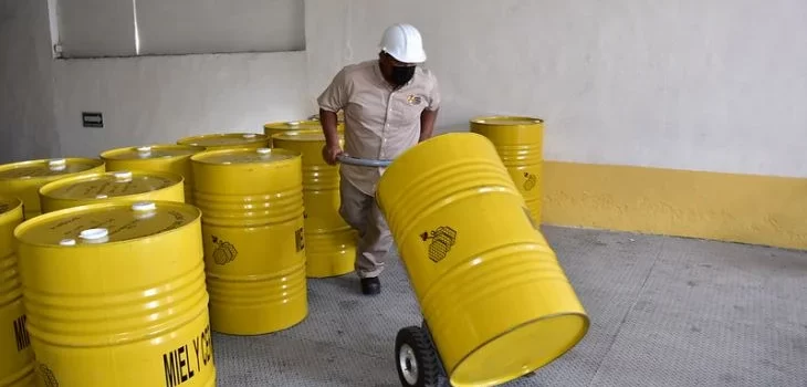 Cae producción de miel en Campeche: apenas captan 2 mil toneladas este 2023