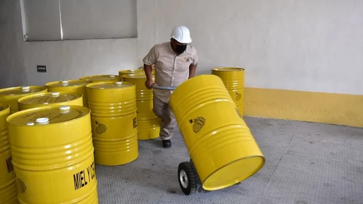 Cae producción de miel en Campeche: apenas captan 2 mil toneladas este 2023