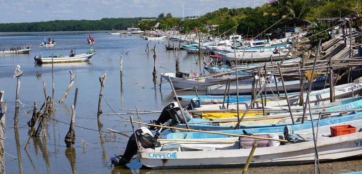 Ribereños piden agilizar liberación de permisos de pesca en Campeche