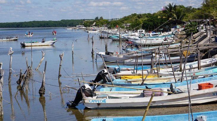 Ribereños piden agilizar liberación de permisos de pesca en Campeche