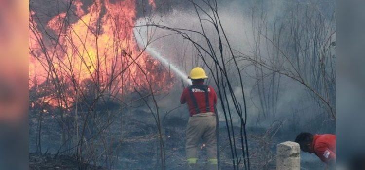 Incendio en reserva ecológica de Calakmul lleva 400 hectáreas consumidas