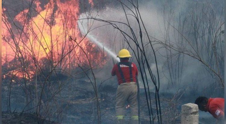Incendio en reserva ecológica de Calakmul lleva 400 hectáreas consumidas
