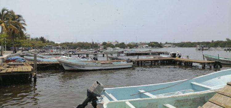 Veda afecta a miles de familias de Campeche