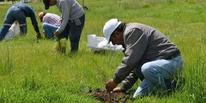 Campesinos de Campeche quedan fuera del programa de fertilizantes gratuito
