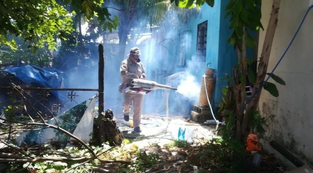 Investigan dos muertes por posibles casos de dengue hemorrágico en Campeche