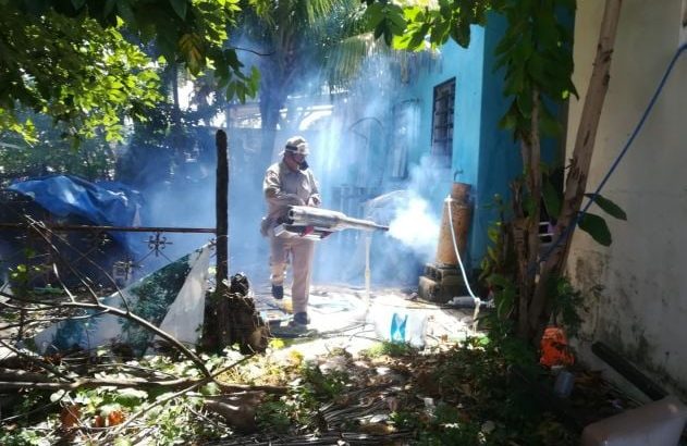 Investigan dos muertes por posibles casos de dengue hemorrágico en Campeche