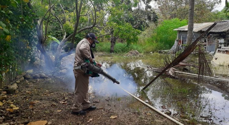 Aumenta demanda de servicios médicos por dengue en ‘Carmen’