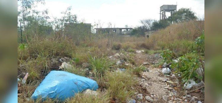 Más de 400 dueños de terrenos baldíos podrían ser sancionados por no limpiarlos en Campeche
