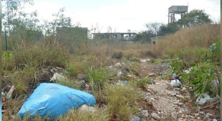 Más de 400 dueños de terrenos baldíos podrían ser sancionados por no limpiarlos en Campeche