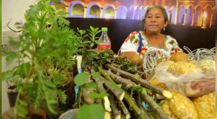 Participarán 42 productores en el sexto Congreso Agroindustrial en Carmen