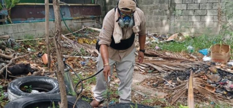 Registra Campeche más de mil casos de dengue