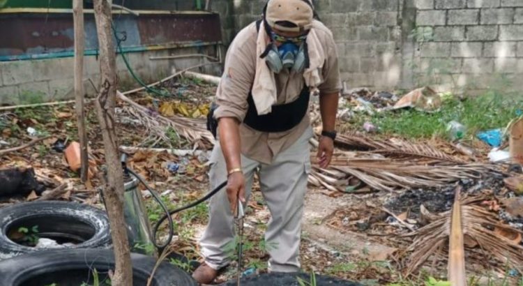 Registra Campeche más de mil casos de dengue