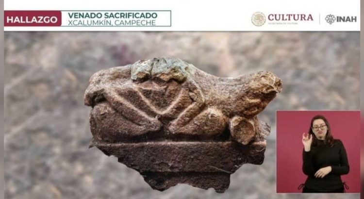 Hallan una cabeza de venado sacrificado tallada en piedra en Xcalumkín, Campeche