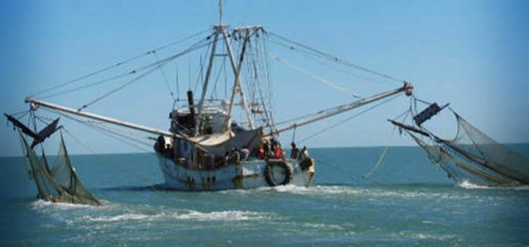 Pescadores de Campeche piden que la Semar y Conapesca se coordinen para proveer seguridad