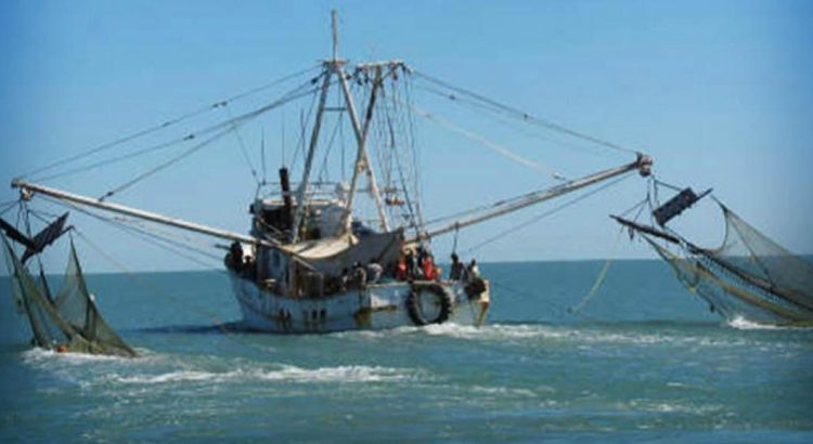 Pescadores de Campeche piden que la Semar y Conapesca se coordinen para proveer seguridad