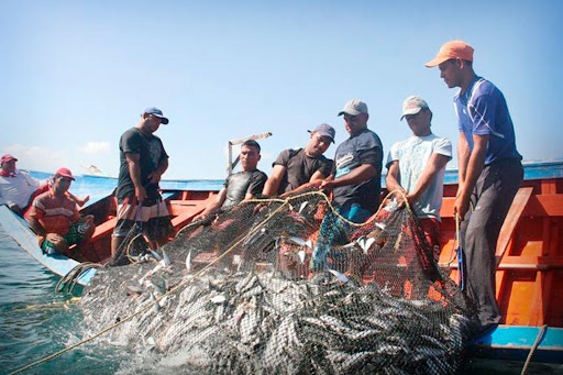 Pescadores de Carmen recibirán apoyos de Pemex para impulsar la acuacultura