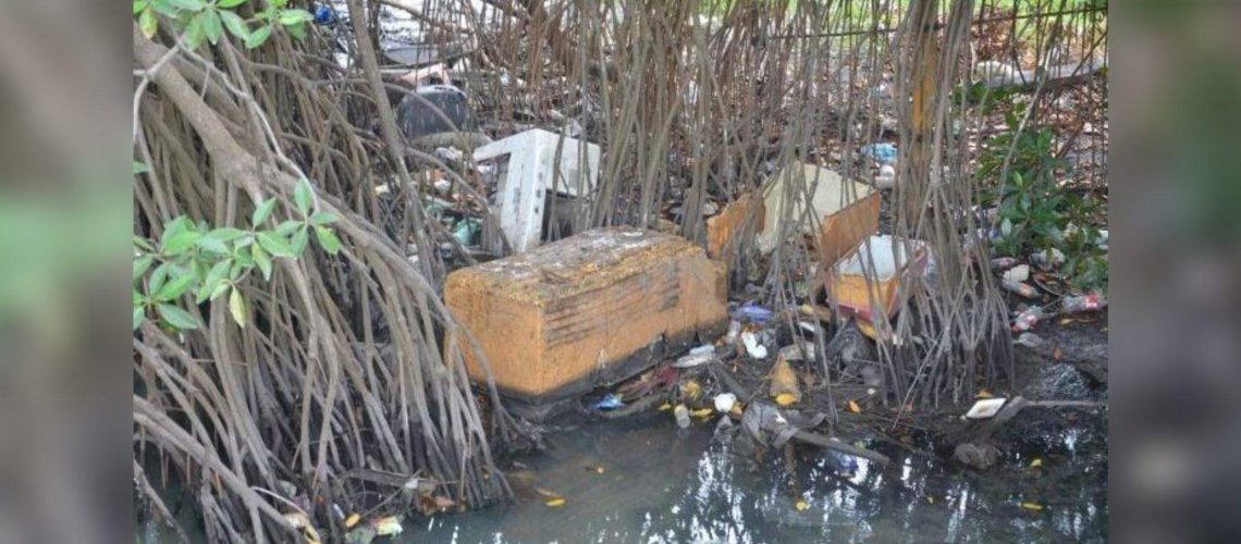 Ayuntamiento de Campeche, responsable de contaminación de mar y el mangle