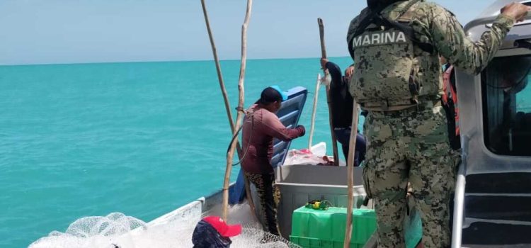 Denuncian pesca ilegal de ostión en Carmen