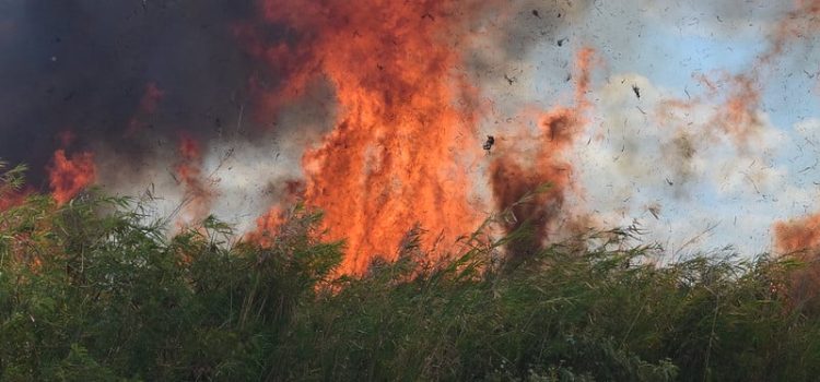 Incendio forestal de Chun-Ek está controlado y casi sofocado