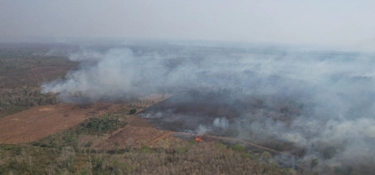 Cuatro incendios forestales en Holpechén, Campeche, podrían expandirse ante altas temperaturas