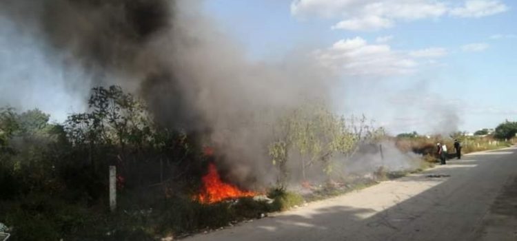 Se registran nuevos incendios en Campeche ante las altas temperaturas
