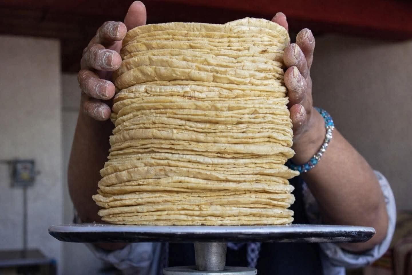 Tortilla podría alcanzar hasta 31 pesos por kilo en Ciudad del Carmen