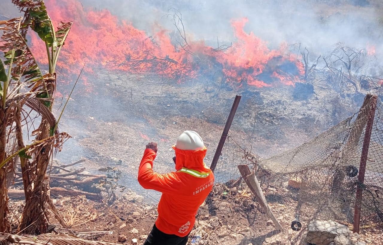 Incendio consume 80 hectáreas cerca del aeropuerto de Campeche