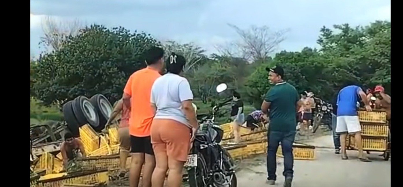 Rapiña de pollos siguió a volcadura de tráiler en Champotón
